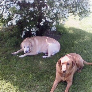 Meet your Posher, Debbie